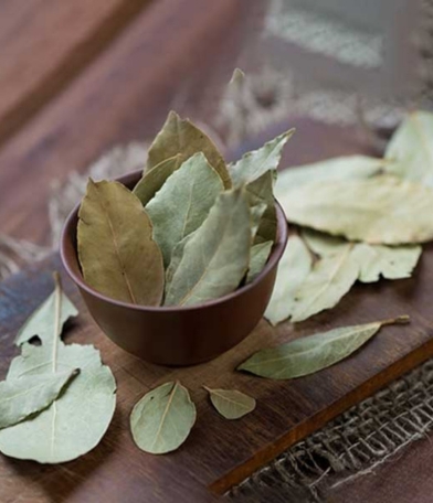 Bay Leaf Manufacturer, Exporter & Wholesale Supplier