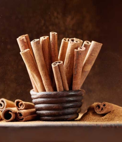 Cinnamon Manufacturer, Exporter & Wholesale Supplier
