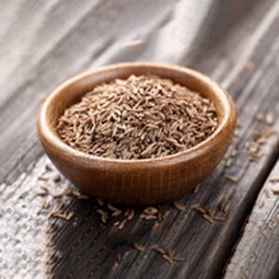 Cumin Seed