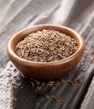 Cumin Seed Manufacturer, Exporter & Wholesale Supplier