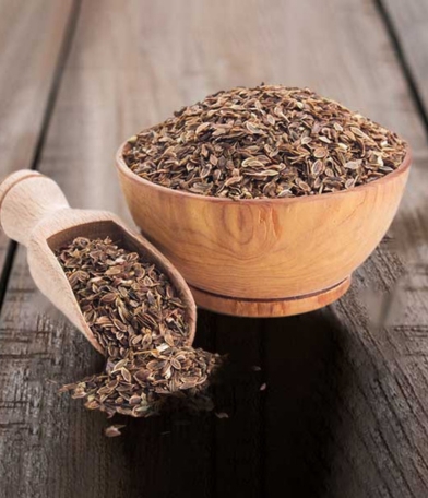 Dill Seed Manufacturer, Exporter & Wholesale Supplier