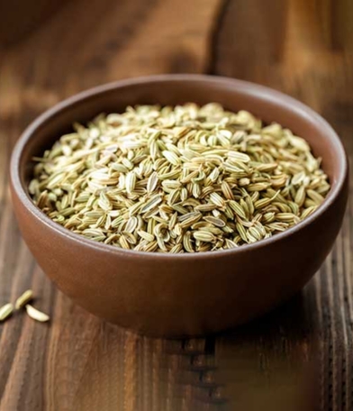 Fennel Seed Manufacturer, Exporter & Wholesale Supplier