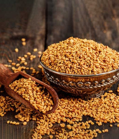 Fenugreek Seed Manufacturer, Exporter & Wholesale Supplier