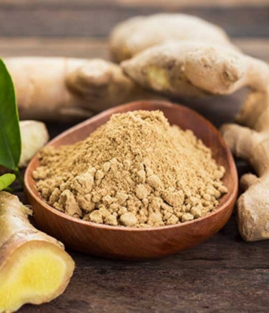 Ginger Powder Manufacturer, Exporter & Wholesale Supplier