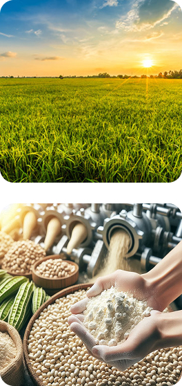 Pure Agriculture Products Manufacturer, Exporter, and Supplier