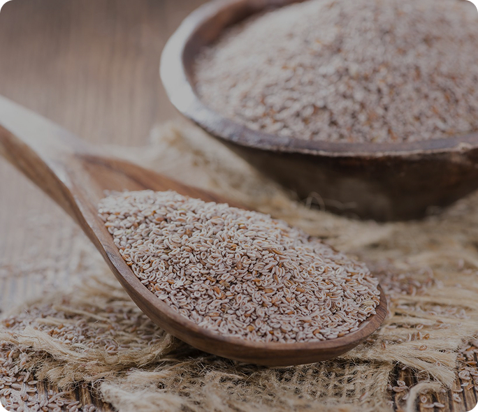Psyllium Products Manufacturer, Exporter, and Supplier