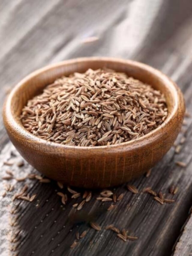 Cumin Seed Manufacturer, Exporter & Wholesale Supplier
