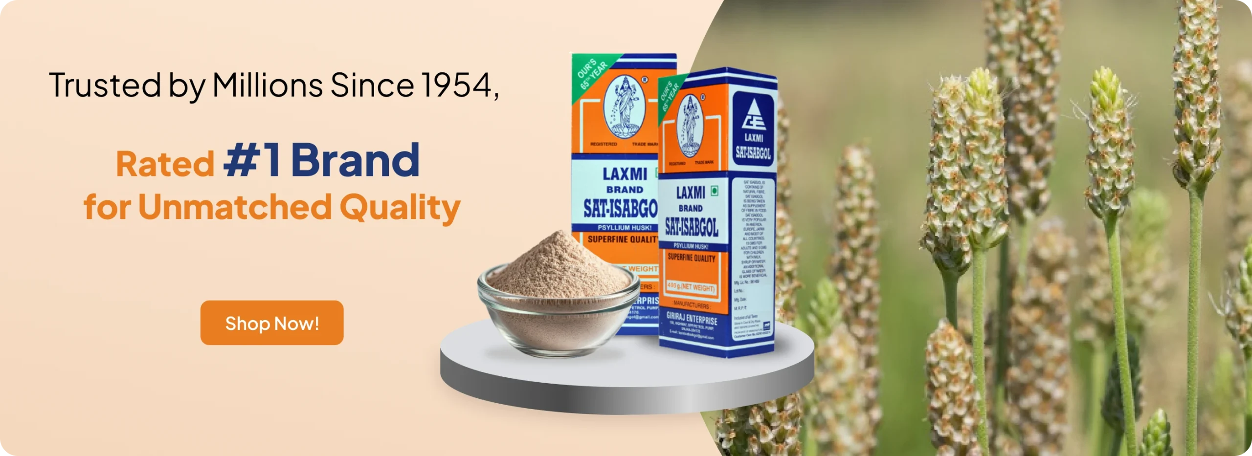 Buy 100% Natural Isabgol (Psyllium Husk) Online at Best Price