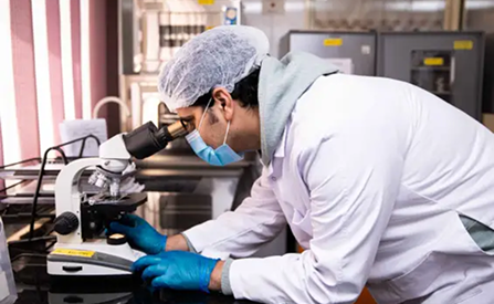 Ultra Pure Psyllium Husk