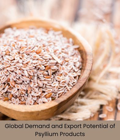 Psyllium Products Global Demand and Export Potential – Market Insights for Seeds, Husk, and Powders