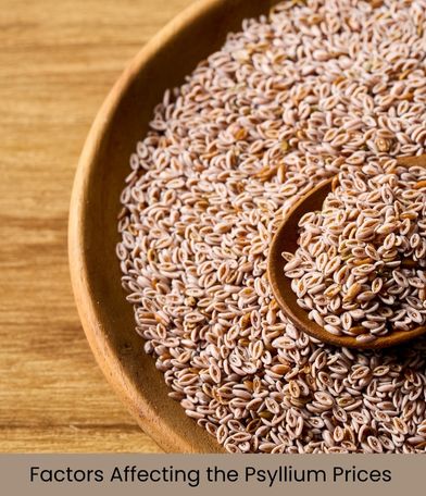 Factors Affecting the Psyllium Prices
