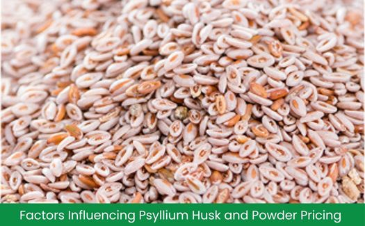 Factors Influencing Psyllium Husk and Powder Pricing