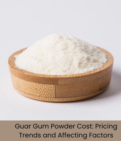 Guar Gum Powder Cost: Pricing Trends and Affecting Factors