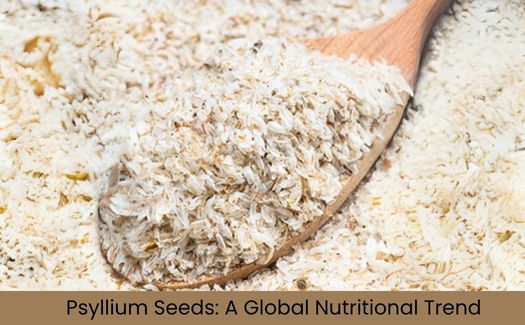 Psyllium Seeds