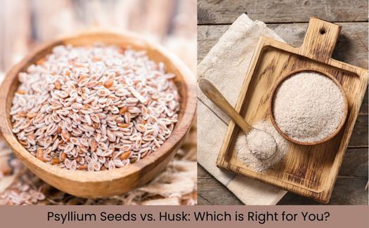 Psyllium Seeds Husk Which Right for You