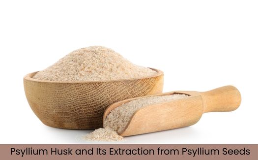 Psyllium Husk Extraction from Psyllium Seeds