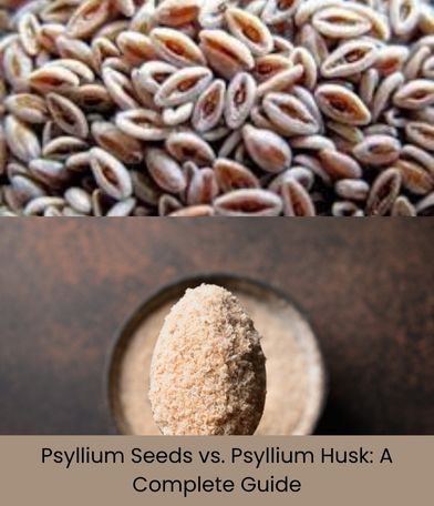 Psyllium Seeds vs Husk: Benefits, Nutrition & Industrial Uses