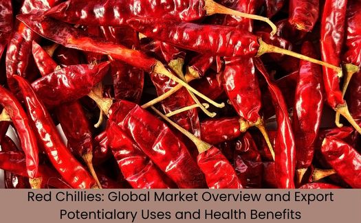 Red Chillies – The Fiery Export Leader