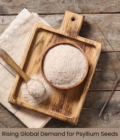 Why Psyllium is in High Demand? – A Global Market Insight
