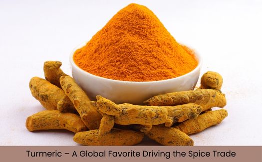 Turmeric – The Golden Spice of Global Trade