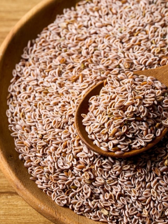 Psyllium Seeds