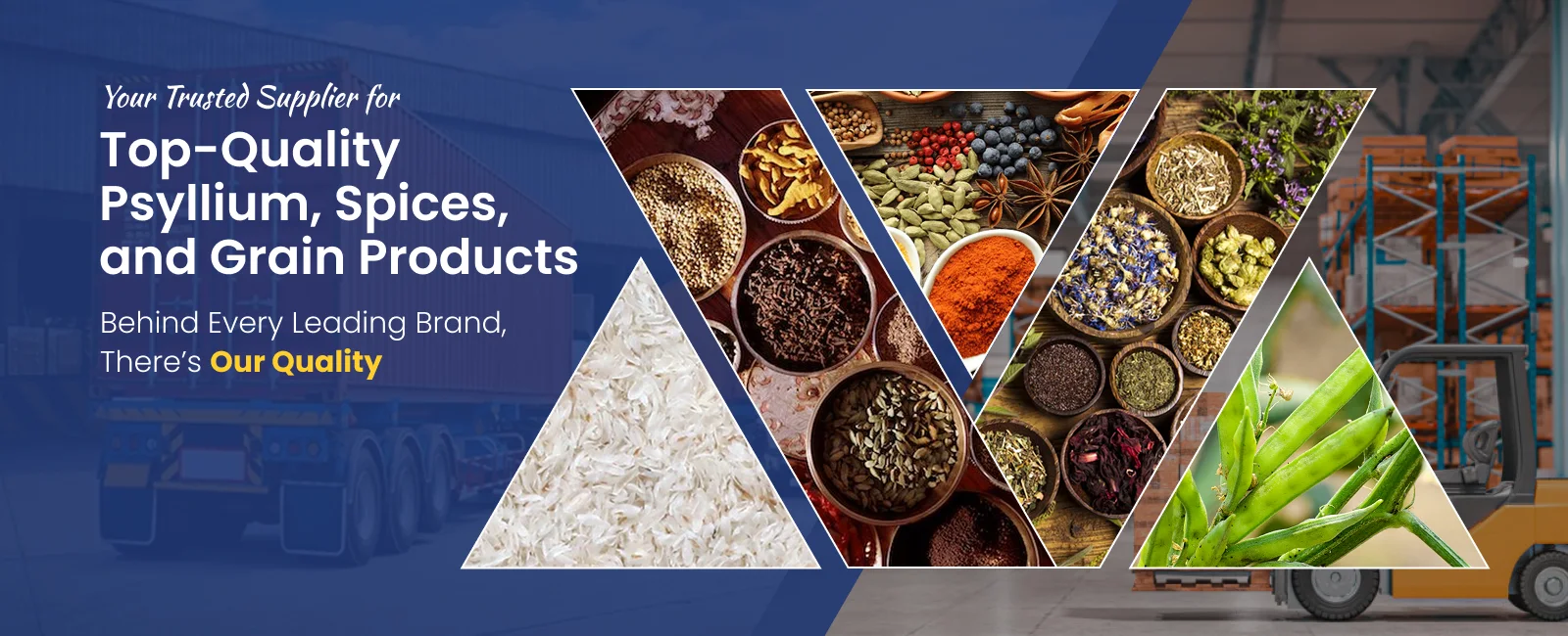 Trusted manufacturer, exporter, and supplier for Top-Quality Psyllium, Spices, and Grain Products