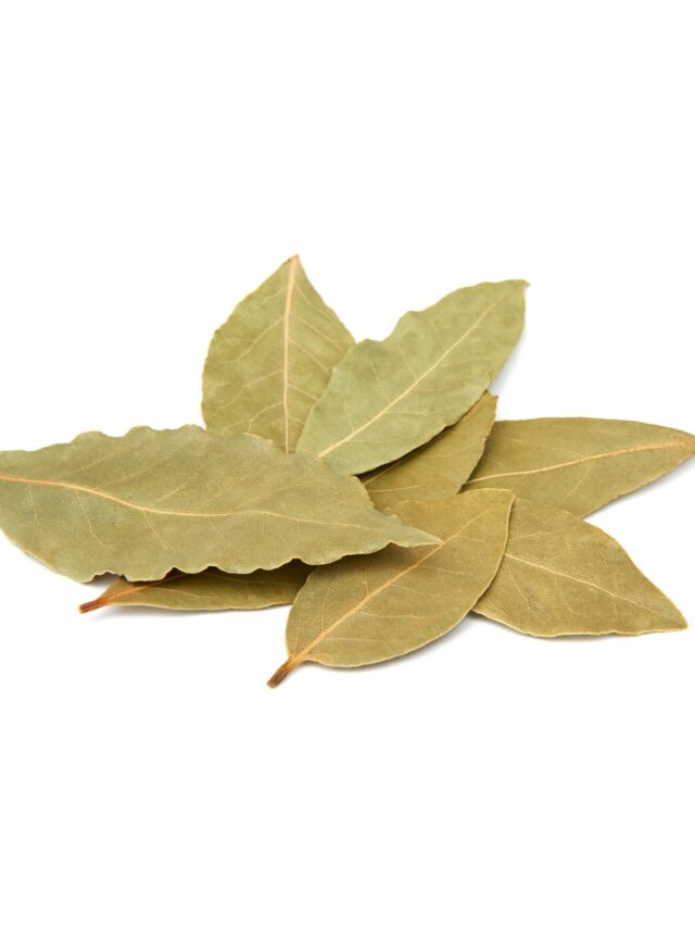 Bay Leaf
